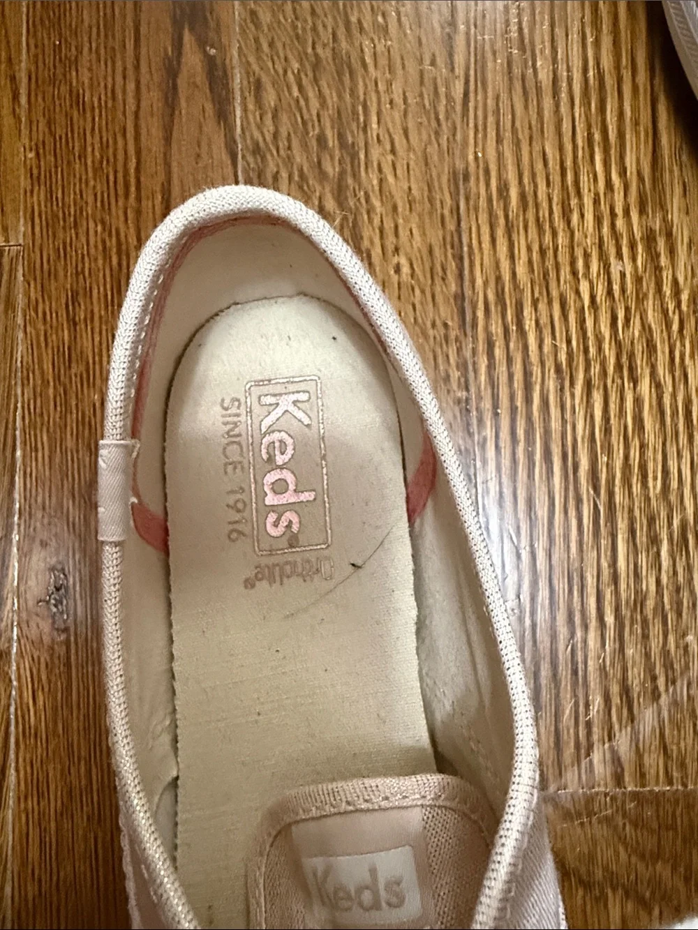Keds Pink Canvas Low-Top Sneakers